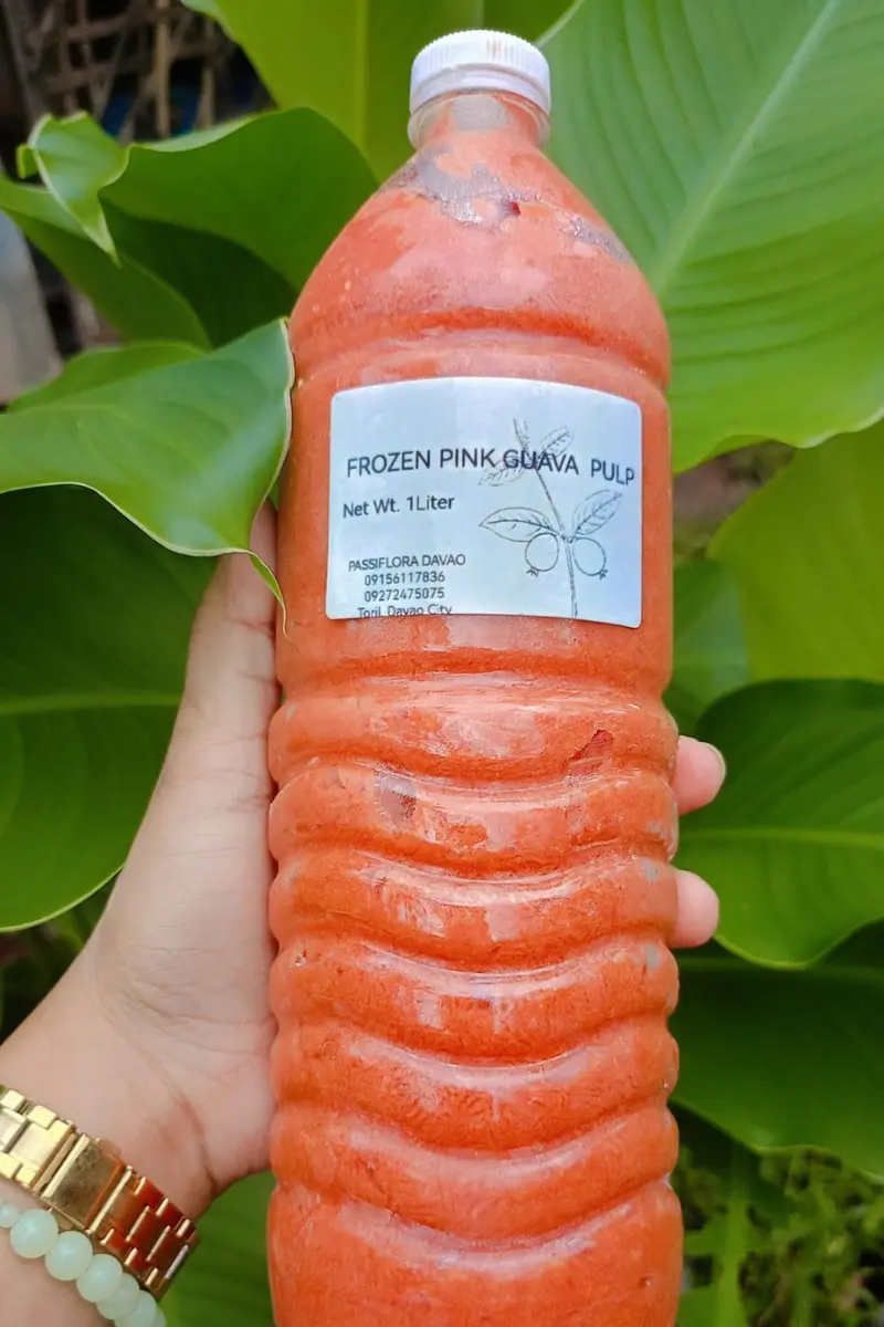 Frozen pink guava pulp-Passifloradavao